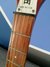 Rickenbacker 330/6 , Fireglo: Neck - Front