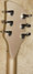 Rickenbacker 360/6 Mod, Desert Gold: Headstock - Rear