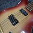 Rickenbacker 2050/4 Mod, Fireglo: Close up - Free2
