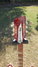 Rickenbacker 381/12 V69, Fireglo: Headstock
