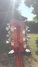 Rickenbacker 381/12 V69, Fireglo: Headstock - Rear