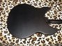 Apr 2018 Rickenbacker 330/6 , Matte Black: Body - Rear