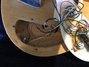 Rickenbacker 4001/4 Mod, Mapleglo: Free image