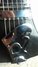 Rickenbacker 620/6 , Jetglo: Close up - Free