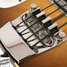 Rickenbacker 4001/4 , Autumnglo: Close up - Free