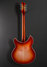 Rickenbacker 360/12 C63, Fireglo: Full Instrument - Rear