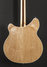 Jan 2018 Rickenbacker 360/12 , Mapleglo: Body - Rear