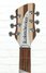 Rickenbacker 360/6 , Mapleglo: Headstock