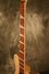 Rickenbacker 660/6 , Mapleglo: Neck - Front
