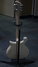 Rickenbacker 620/6 , Mapleglo: Full Instrument - Rear