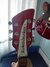 Rickenbacker 330/6 , Burgundy: Headstock