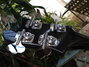 Rickenbacker 4003/4 , Jetglo: Headstock - Rear