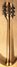 Rickenbacker 330/12 , Mapleglo: Neck - Rear