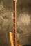Rickenbacker 4001/4 , Mapleglo: Neck - Front