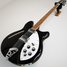 Rickenbacker 360/12 , Jetglo: Full Instrument - Front