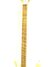 Rickenbacker 4003/4 S, Mapleglo: Neck - Front