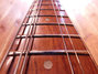 Rickenbacker 325/6 V63, Jetglo: Neck - Front