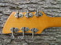 Rickenbacker 315/6 Capri, Natural: Headstock - Rear