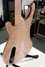Rickenbacker 4004/4 Cii, Mapleglo: Free image2