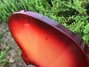 Rickenbacker 330/12 , Fireglo: Free image2