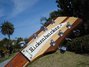 Rickenbacker 360/6 , Mapleglo: Headstock