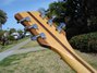 Rickenbacker 360/6 , Mapleglo: Headstock - Rear