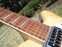 Rickenbacker 360/6 , Mapleglo: Neck - Front