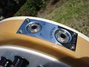 Rickenbacker 360/6 , Mapleglo: Close up - Free