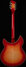 Rickenbacker 1993/12 Plus, Fireglo: Full Instrument - Rear