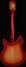 Rickenbacker 1993/12 Plus, Fireglo: Full Instrument - Rear