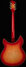 Rickenbacker 1993/12 Plus, Fireglo: Full Instrument - Rear