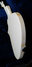 Rickenbacker 620/12 BH BT, White: Close up - Free2