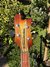 Rickenbacker 4003/4 , Walnut Burst: Headstock