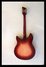 Rickenbacker 330/6 , Fireglo: Full Instrument - Rear