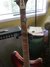 Rickenbacker 360/12 , Fireglo: Neck - Front