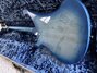 Jun 2018 Rickenbacker 4030/4 RIC Boutique One-Off, Blueburst: Body - Rear