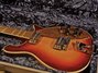 Rickenbacker 660/12 TP, Fireglo: Close up - Free2
