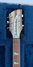 Rickenbacker 360/6 , Mapleglo: Neck - Front