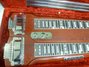 Rickenbacker SW/12 LapSteel, Mapleglo: Neck - Front