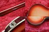 Rickenbacker 360/6 V64, Fireglo: Close up - Free