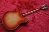 Rickenbacker 360/12 V64, Fireglo: Full Instrument - Rear