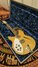 Rickenbacker 330/6 Mod, Mapleglo: Free image