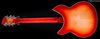 Rickenbacker 1993/12 Plus, Fireglo: Full Instrument - Rear