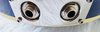 Rickenbacker 620/6 , Midnightblue: Free image