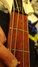 Rickenbacker 4004/4 Laredo, Snowglo: Neck - Front