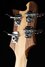 Rickenbacker 4003/4 , Natural Walnut: Headstock - Rear