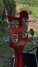 Rickenbacker 4003/4 , Fireglo: Headstock - Rear