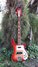 Rickenbacker 4003/4 , Fireglo: Full Instrument - Front