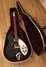 Rickenbacker 330/6 , Jetglo: Free image2