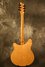 Rickenbacker 360/6 BH BT, Mapleglo: Full Instrument - Rear